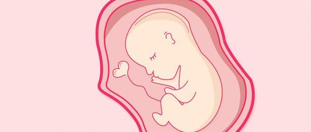 试管子宫动脉有必要检查吗