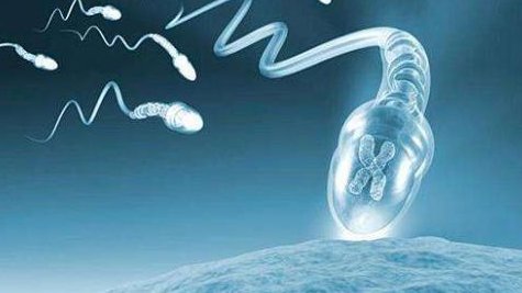 2026年想去茫崖市做试管婴儿需要准备哪些事？详细收费明细一览