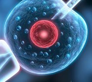 普宁哪个医院可以做三代试管婴儿？普宁试管医院排名一览