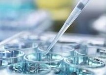 乌克兰慢性肾炎可以做试管婴儿吗，乌克兰慢性肾炎可以做试管婴儿吗视频