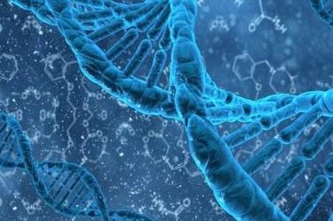 始基子宫怎么取出卵做试管婴儿