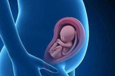 三代试管婴儿的优缺点分别是什么？